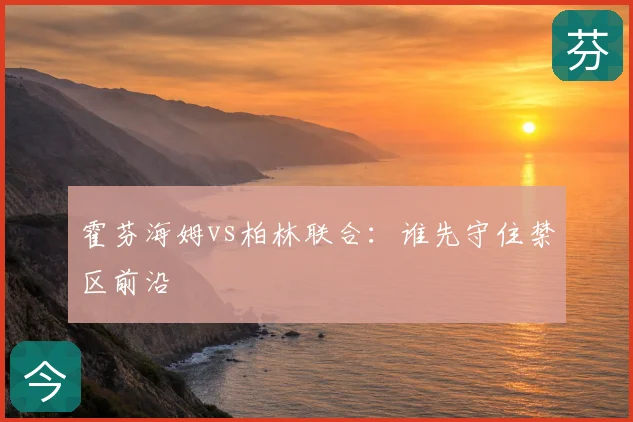霍芬海姆vs柏林联合:谁先守住禁区前沿