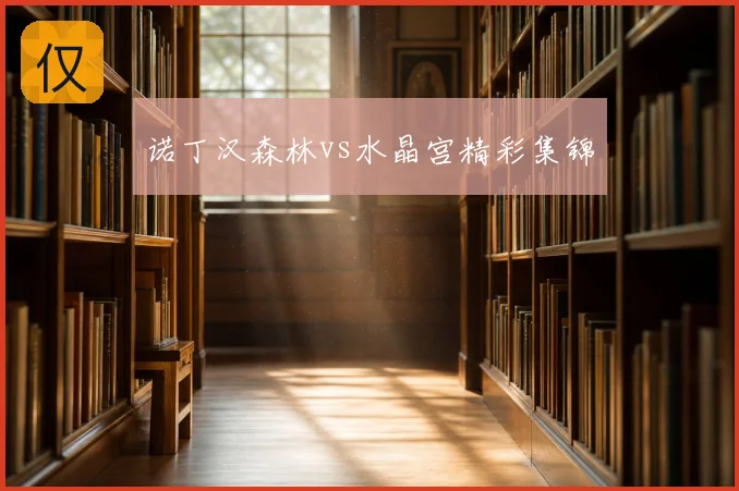 诺丁汉森林vs水晶宫精彩集锦